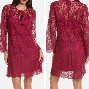 Johnny Was Jade Harper Cranberry Lace Tunic Dress w Slip NWT